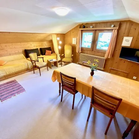 Meielblick Appartement-fewo- Dusche Oder Bad- Wc 4-bettwohnung By Interhome Daire Gstaad