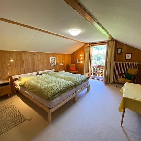 Meielblick Appartement-fewo- Dusche Oder Bad- Wc 4-bettwohnung By Interhome Gstaad